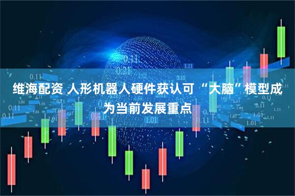 维海配资 人形机器人硬件获认可 “大脑”模型成为当前发展重点